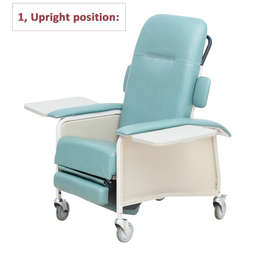 Recliner chair for companions in long term units HO-S11